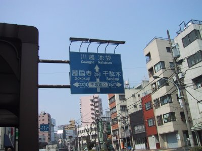 I went straight on across Shinobazu avenue.