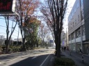 RiPUSj@PL؂쉺