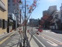 RiUTj쉺