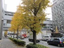 ꋞl@肩߁@Vw̍ˉi