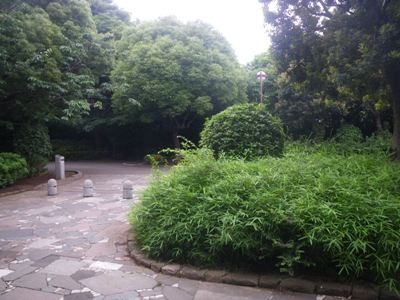 右折して臨海橋へ