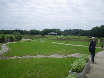 葛西臨海公園 芝生公園