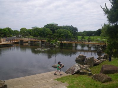 葛西臨海公園 蓮池