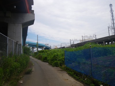 市川大橋を渡り右折、湾岸道路(国道357号)へ