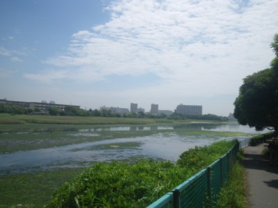 JÊ