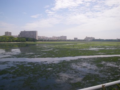 JÊ