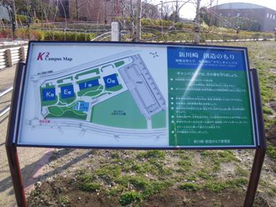 横須賀線 線路沿い 新川崎 創造のもり