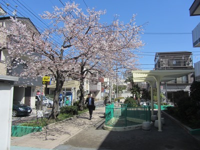 三ノ輪橋駅前 ジョイフル三ノ輪 サクラ咲く小公園