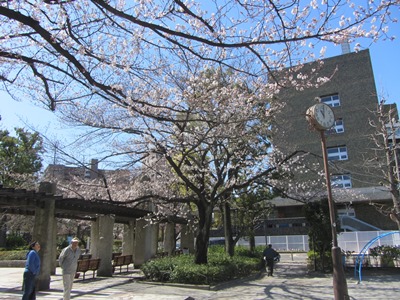 サンパール通り 荒川公園