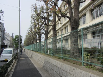 都立文京高校沿いに西進