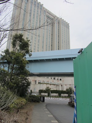 潮風公園 潮風公園北交差点から湾岸道路(国道357号)へ