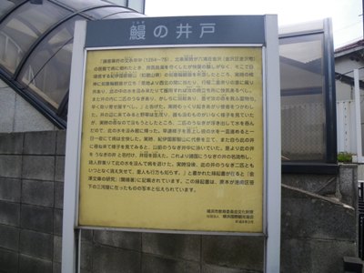 笹下釜利谷道路(県道22号) 鰻の井戸