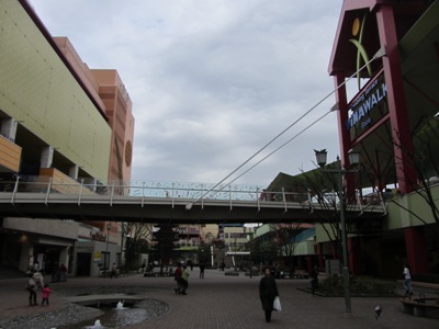 海老名駅前 ビナウォーク(Vina Walk)