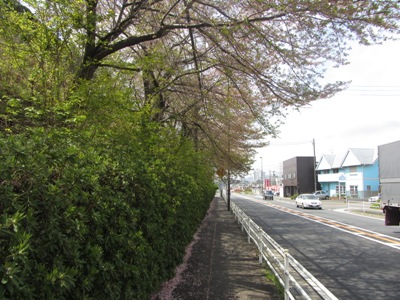 QSU@ɗtɂȂ肩̍
