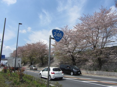 QSU@ɗtɂȂ肩̍