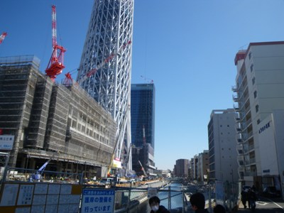 北十間川の南側道路から見た東京スカイツリー