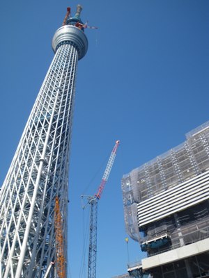 北十間川の南側道路から見た東京スカイツリー