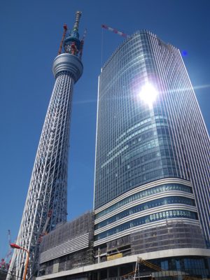 北十間川の南側道路から見た東京スカイツリー