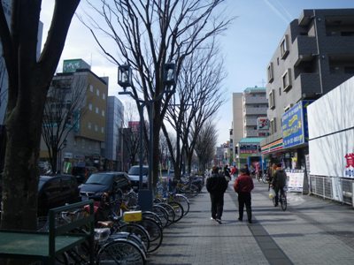 裸木のけやき並木を南西に進む