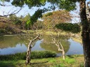 c@䉑@̊یi̊ے뉀j