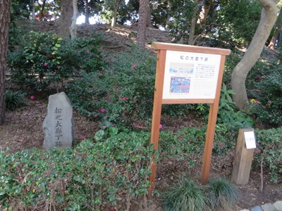 皇居 東御苑 本丸大芝生の西沿いの遊歩道 松の大廊下跡