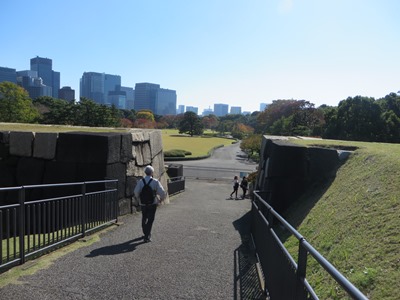 皇居 東御苑 天守台から見た本丸大芝生館