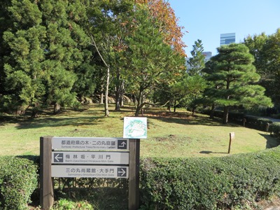 皇居 東御苑 二の丸公園 都道府県の木 入口