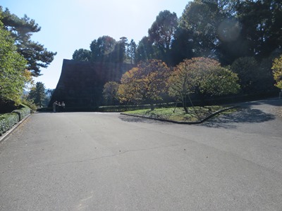 皇居 東御苑 二の丸公園 梅林坂下広場で右折