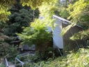 三渓園　内苑　工事中の春草廬