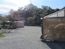 三渓園　原三渓之碑前の菊花展