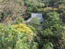 三渓園　旧燈明寺三重塔から見える旧燈明寺本堂