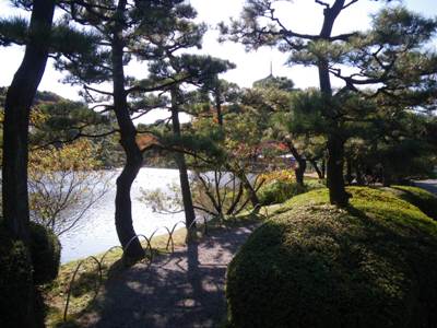 三渓園 大池沿いに南下