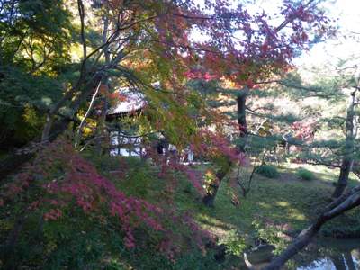 三渓園 旧天瑞寺寿塔覆堂
