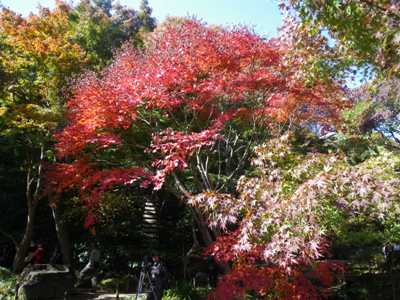 三渓園 内苑