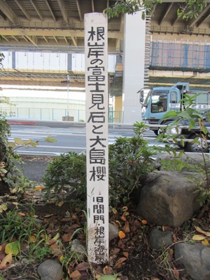 本牧通り 間門交差点 根岸の富士見石と大島櫻