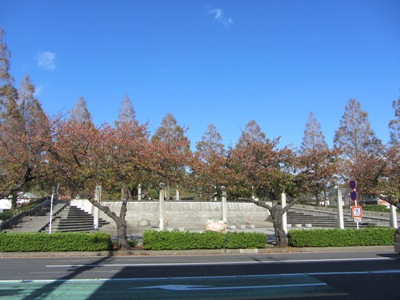 本牧通り 新本牧公園