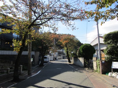 桜並木の住宅街を南西に進む