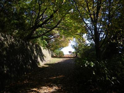 本牧山頂公園遊歩道