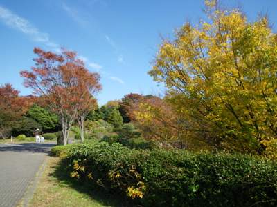 本牧山頂公園