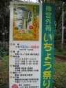 神宮外苑のいちょう祭りが始まる。