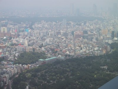 (西側) 青山霊園