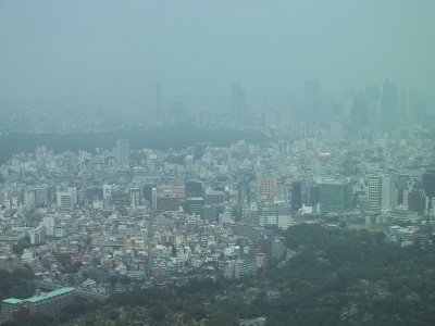 (西側) 新宿副都心、東京都庁