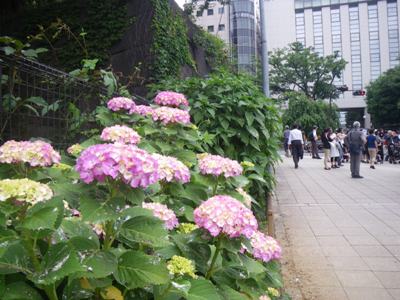 駅ビル「アトレ四谷」沿いに東進