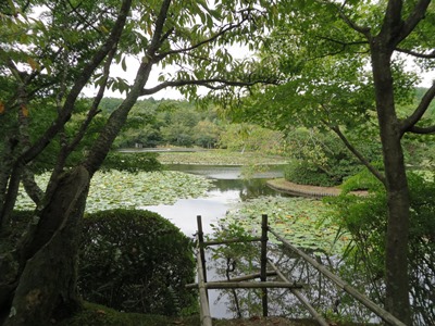 龍安寺　鏡容池