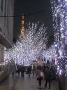 けやき坂のイルミネーション SNOW & BLUE 2012
