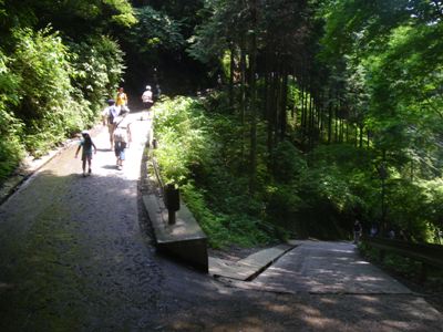 1号路(表参道) 最初の休憩場所