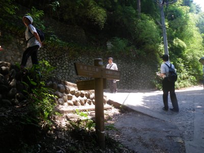 1号路(表参道) 金毘羅台への分岐点
