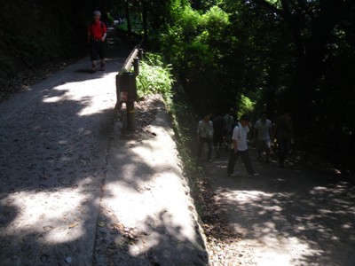 1号路(表参道)