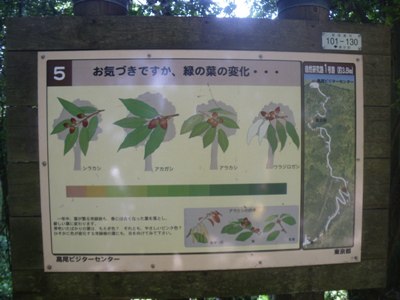 1号路(表参道) 道標#5