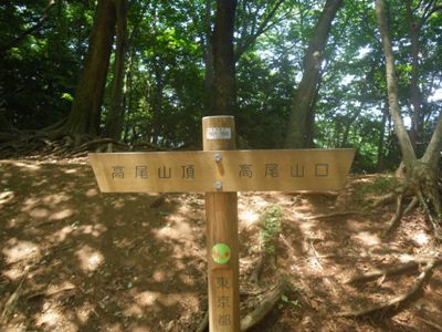 1号路(表参道)